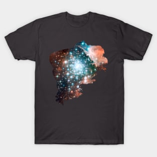 Brush Cosmic T-Shirt